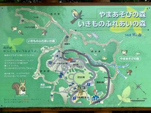 うるぎ星の森オートキャンプ場　サイトマップ